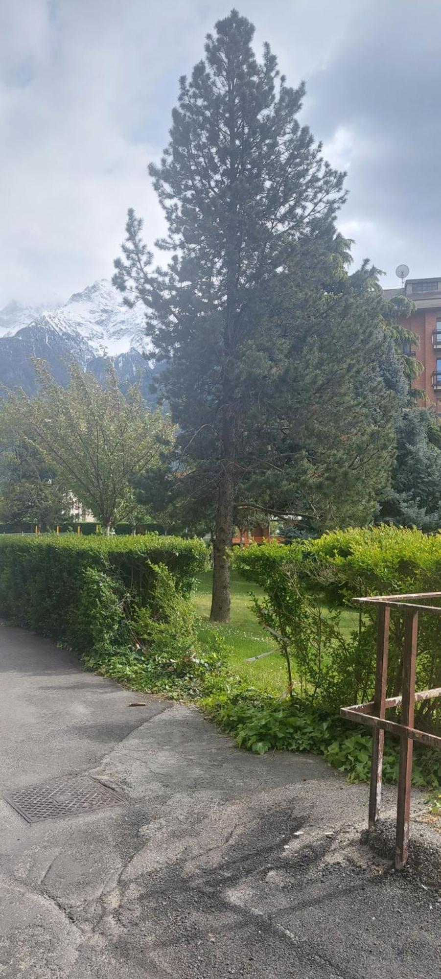 Ferienwohnung Il Mughetto Aosta Exterior foto